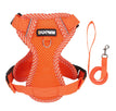 Einfaches Orange / S