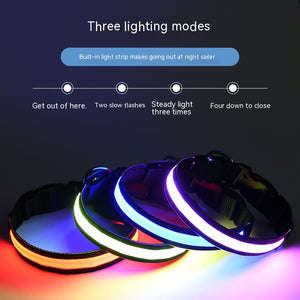LED Nylon Ligne de Pêche Collier Lumineux Recharge USB