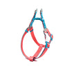 Brustgurt Rot und Blau / S