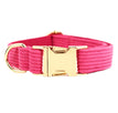 Enclos pour chien1 / XS