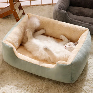 Bed Pour Chats Produits Pour Animaux Coussins Chauds Articles Pour Chatons Accessoires Chiens Tous Les Lits Et Meubles Accessoires Habitats Maisons Lits