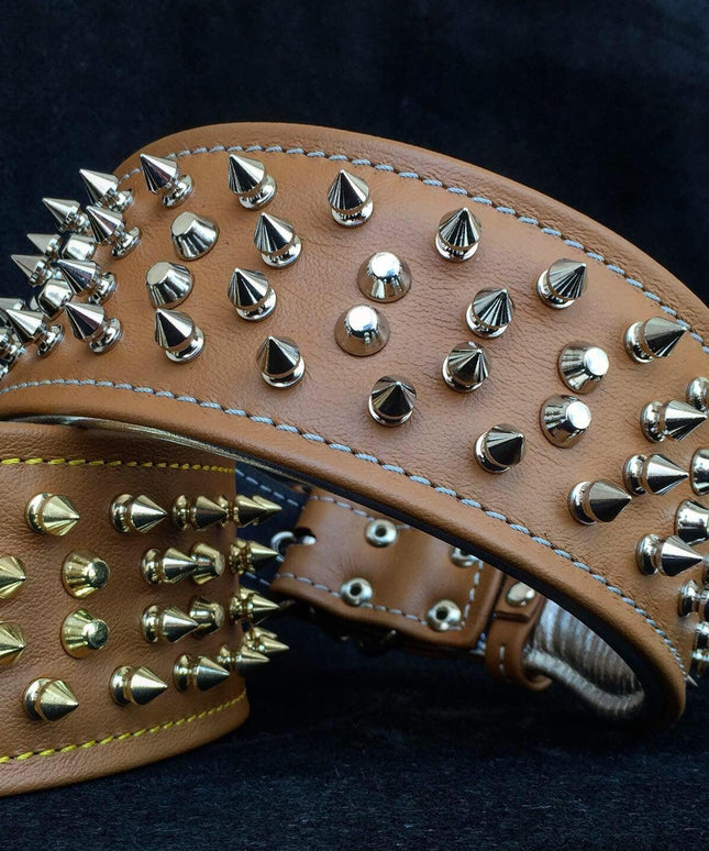 The "Crown" collar-1