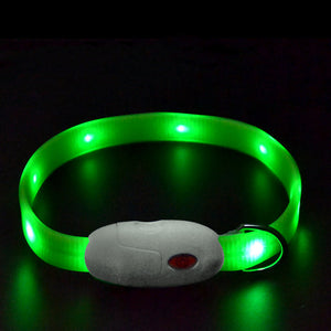 Dog Collier Lumineux Pour Éviter La Perte