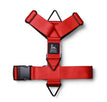 Red / M