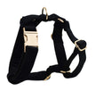Dog vest1 / XS