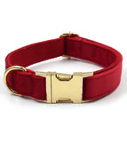 Rotes Halsband mit Schnalle