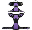 Purple / L