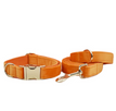 Corral para perros con cuerda para perros 4 / XS