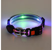 Hundehalsband Schwarz / USB