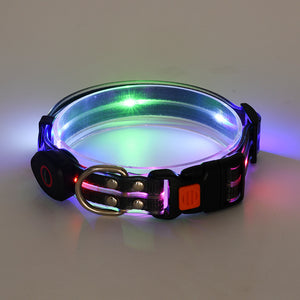 LED Collier Lumineux Collier pour Animaux Rechargeable Corde en Nylon
