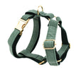 Dog vest1 / XS