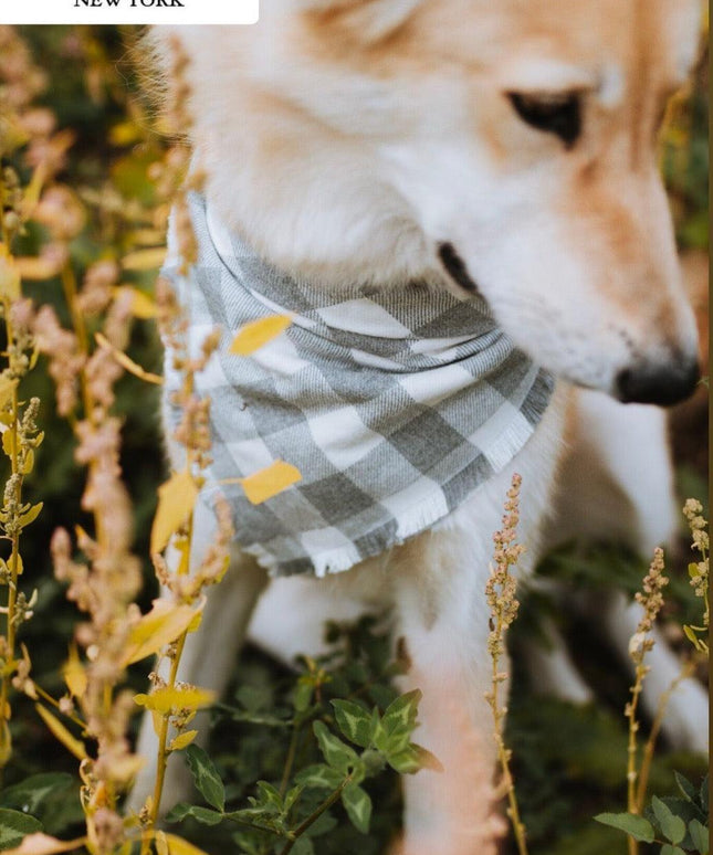 BANDANA - SAWYER-1