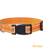 Halsband Reflektierend Orange