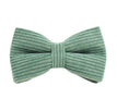 Bow1 / XS