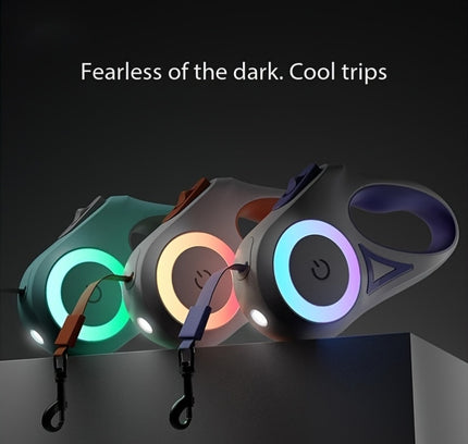 LED Retractable Dog Leash with Flashlight – 10ft, One-Button Lock
