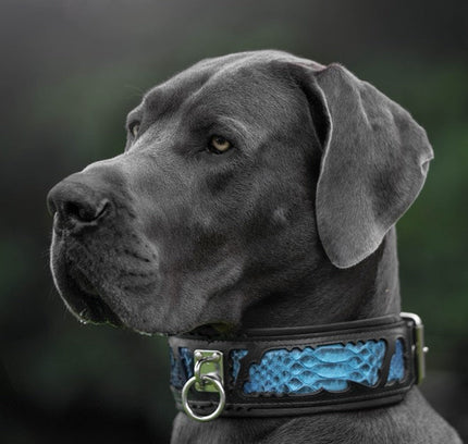 The ''Morelia Python'' leash-1