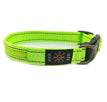 Colorful Green / XS