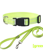 Seilhalsband Grün