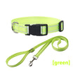 Seilhalsband Grün / XS 1,5 m