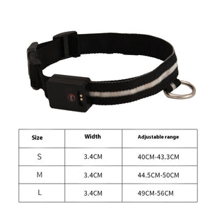 LED Couleur Collier Lumineux Lumière de Marche pour Chien Lumineuse