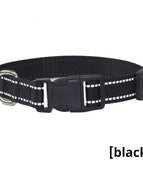 Halsband Reflektierend Schwarz