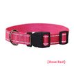 Halsband Reflektierend Rose Rot / XS 1,5 m