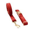 Corral para perros con cuerda para perros 6 / XS