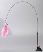 Pink feather