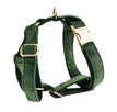 Dog vest2 / XS