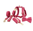 Rose Rouge / XS