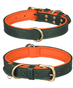 Doppel-D-Ring Grün Orange