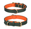 Doppel-D-Ring Grün Orange / Größe