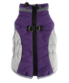 DZ259 Purple