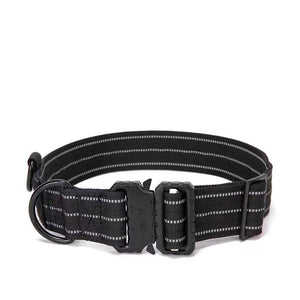 Pet Dog Collar Extérieur Tactique Poil Doré