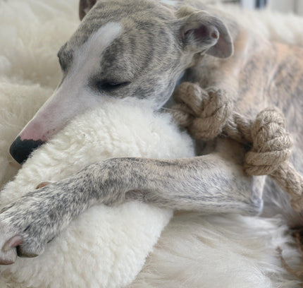 Natural Woolen Dog Tug Toy - Beige-3