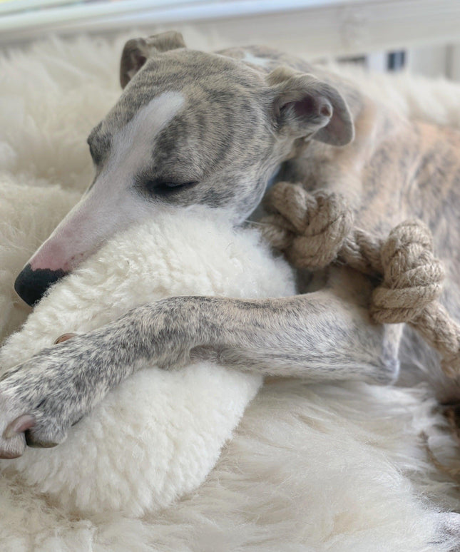 Natural Woolen Dog Tug Toy - Beige-3
