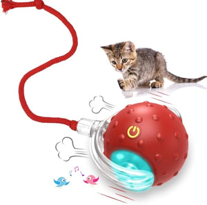 Cat Toys interactifs avec activation par mouvement et gazouillis, roulant super vite sur tapis, jeu de fête joyeux avec chatons - Rouge