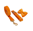 Arco de cuerda para perros con forma de círculo para perros 4 / XS