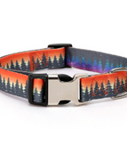 Aurora-Wald