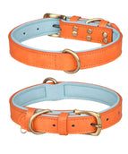 Doppel-D-Ring Orange Blau