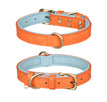 Doppel-D-Ring Orange Blau / Größe