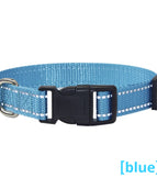 Halsband Reflektierend Blau
