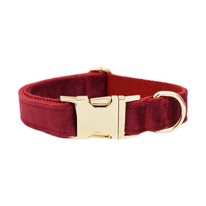 Pet Collar Chien Tissu Velours