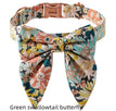 Green swallowtail butterfly / S