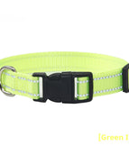 Halsband Reflektierend Grün