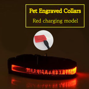 Pet Glow Collar Collier pour chien avec lettrage gravé au radium
