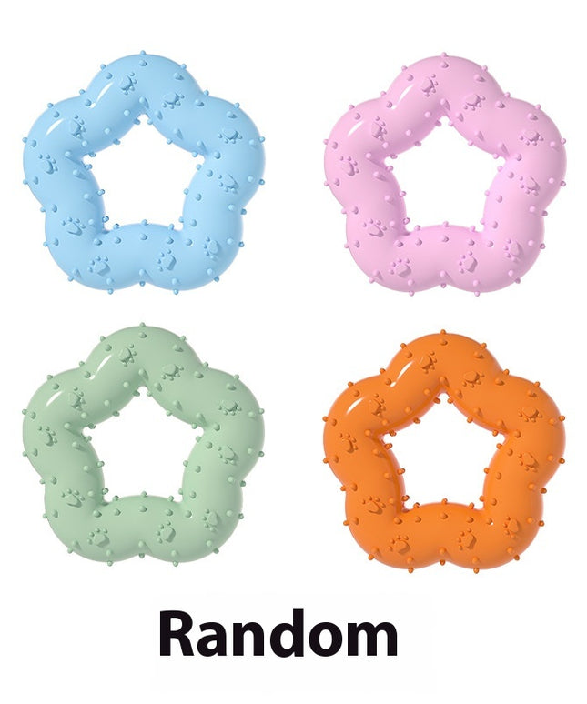 297129556-5