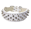 PU White / XS