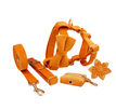 Orange / Größe