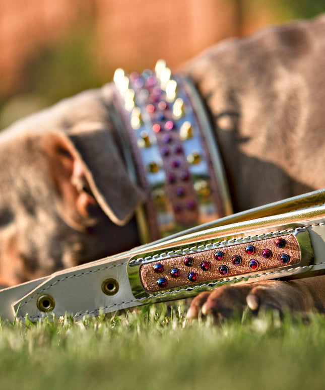The Candy Leash-1
